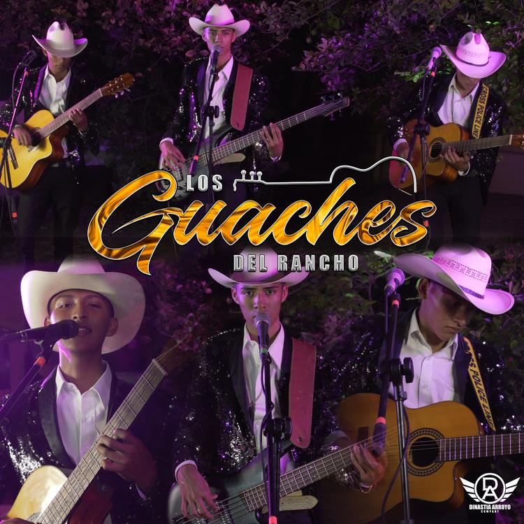 Los Guaches del Rancho's avatar image