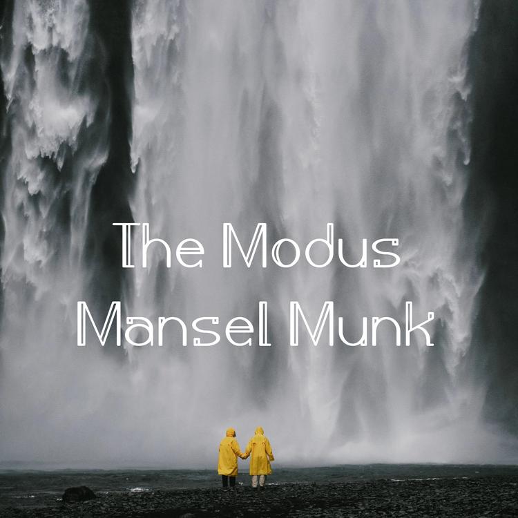 Mansel Munk's avatar image