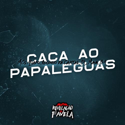 Caça ao Papaleguas's cover