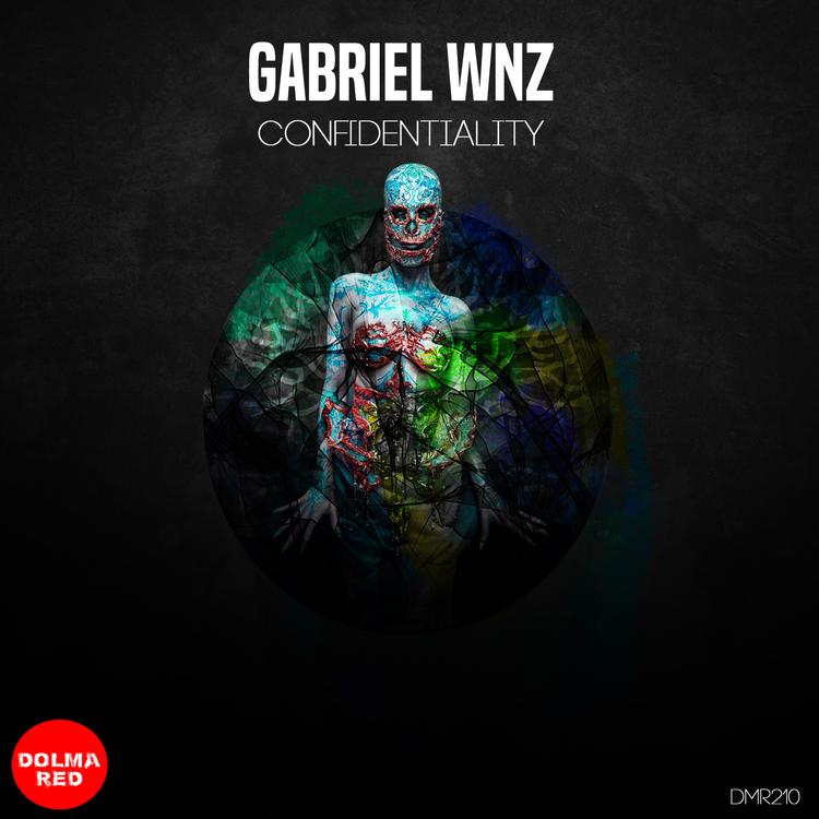 Gabriel Wnz's avatar image