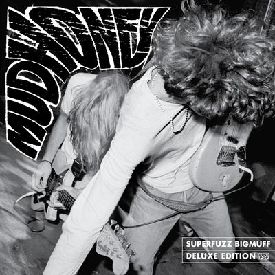 Hate the Police (remastered) By Mudhoney's cover