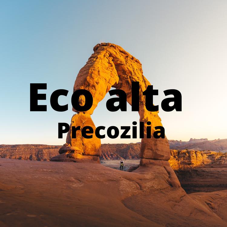 Precozilia's avatar image