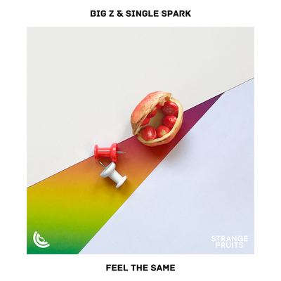 Feel The Same By Big Z, Single Spark's cover