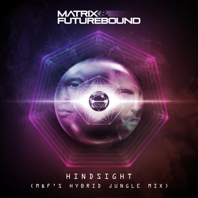 Hindsight (M&F's Hybrid Jungle Mix) By Matrix & Futurebound's cover