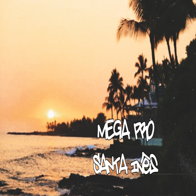 Mega pro Santa Inês's cover