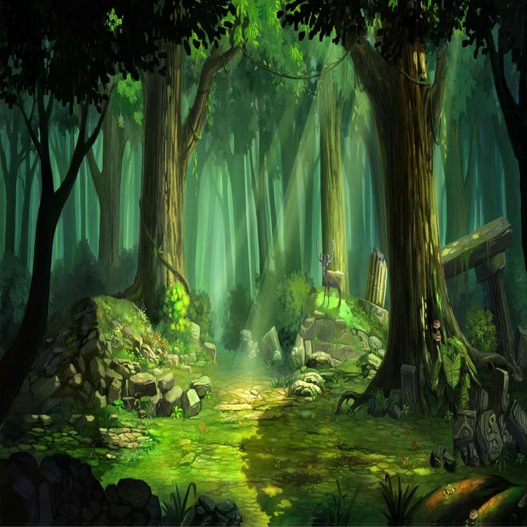 Silent Forest's avatar image