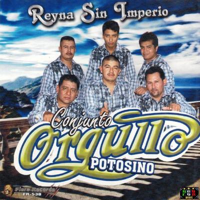 Conjunto Orgullo Potosino's cover