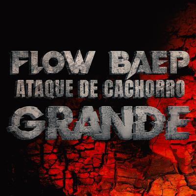 Flow Baep Ataque de Cahorro Grande By JC Rap's cover