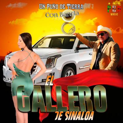 El Gallero De Sinaloa's cover