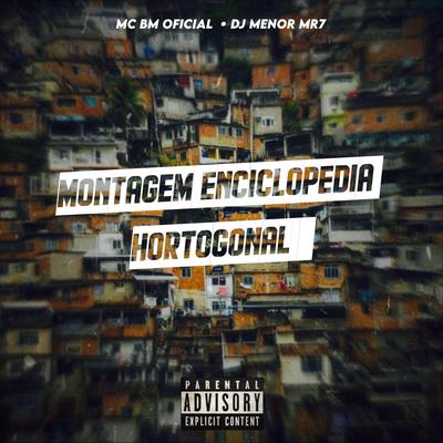 MONTAGEM ENCICLOPÉDIA HORTOGONAL By Club do hype, DJ MENOR MR7, MC BM OFICIAL's cover