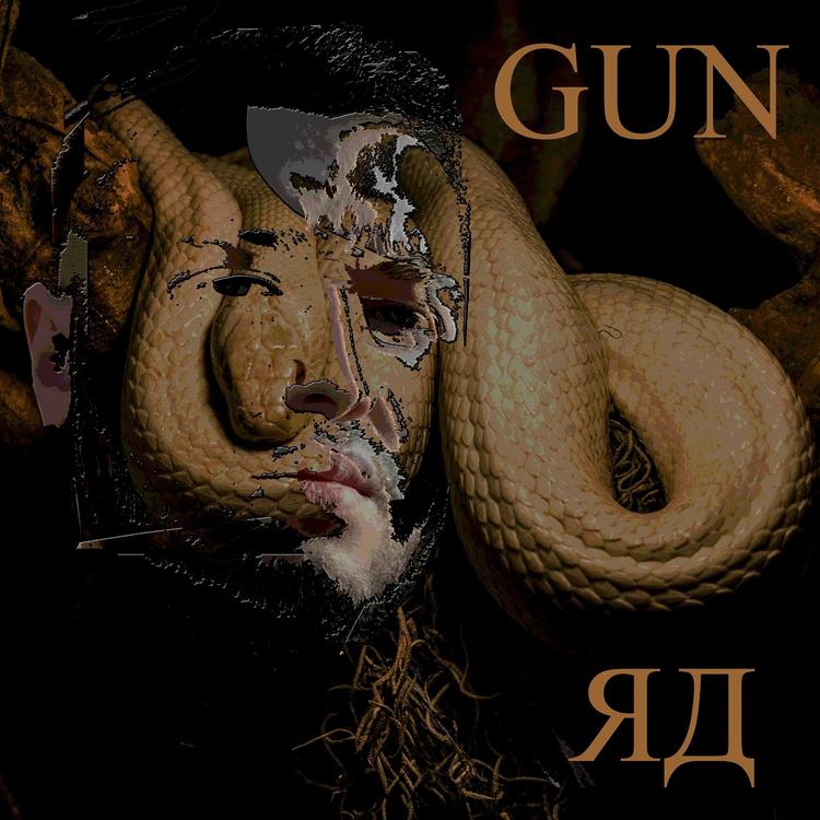 Gun's avatar image