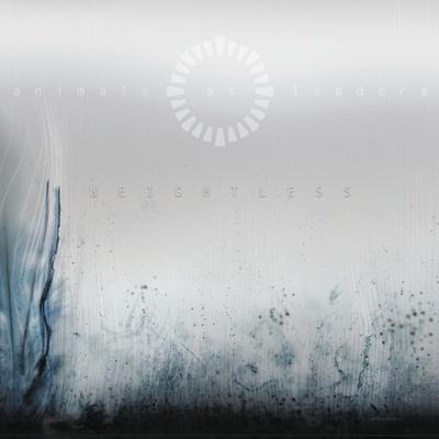 An Infinite Regression By Animals As Leaders's cover