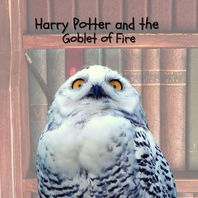 Hogwarts' March (From "Harry Potter and the Goblet of Fire")'s cover