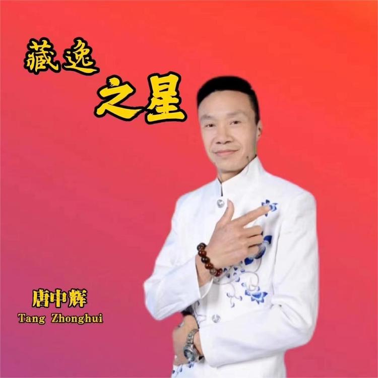 唐中辉's avatar image