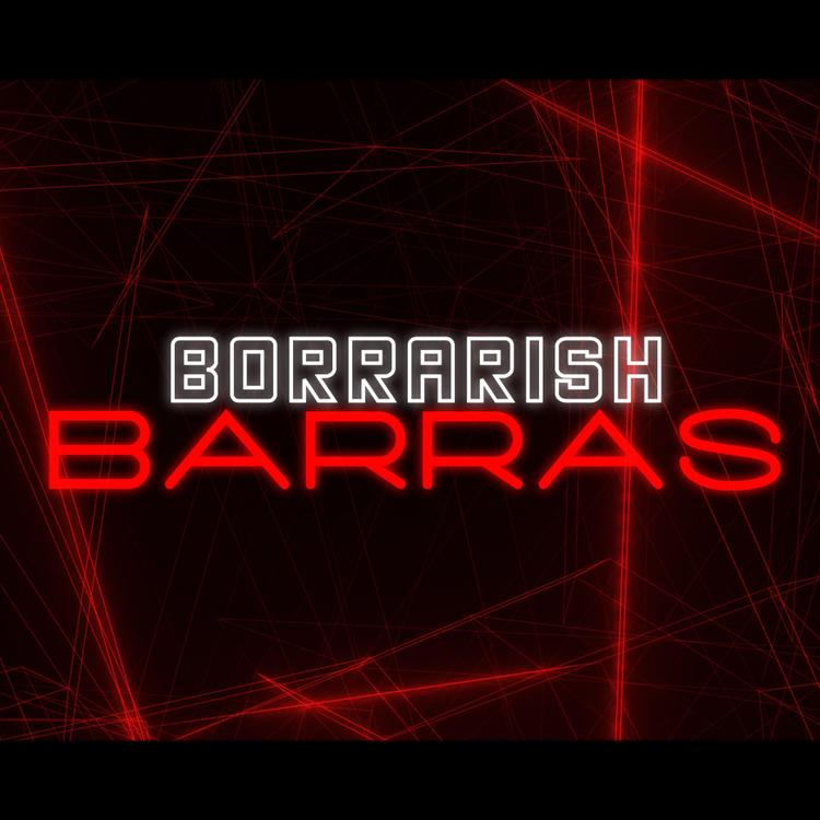 Borrarish's avatar image