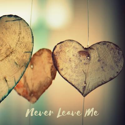 Never Leave Me (Piano Version) By Razz T's cover