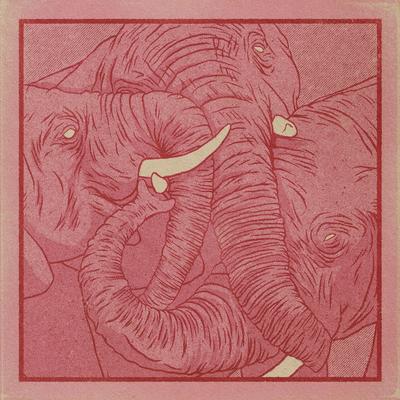 Elephant in the Room By Ehrling's cover