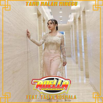 Tamu Malam Minggu By OM Adella, Tasya Rosmala's cover