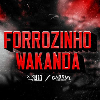 Forrózinho Wakanda By dj j11 original, Mc RD, Menor do Engenho, Gabriel no Beat's cover