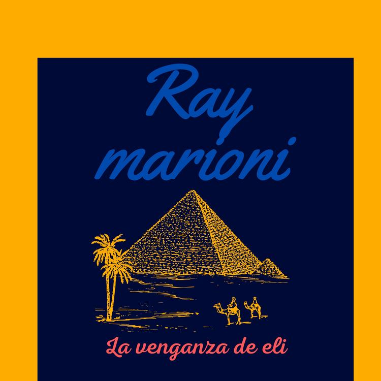 ray marioni's avatar image