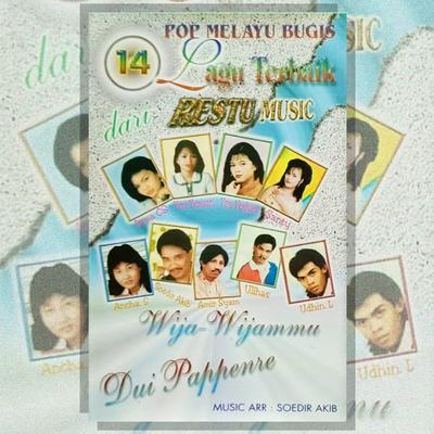 14 Lagu Pop Melayu Bugis Terbaik's cover