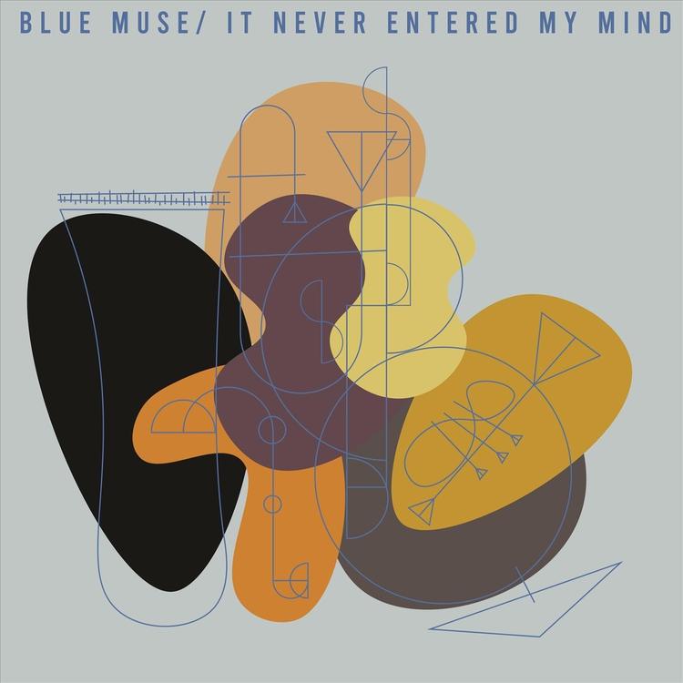 Bluse Muse Jazz's avatar image