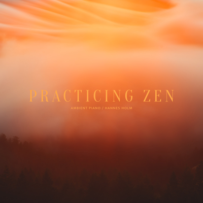 Practicing Zen By Hannes Holm's cover