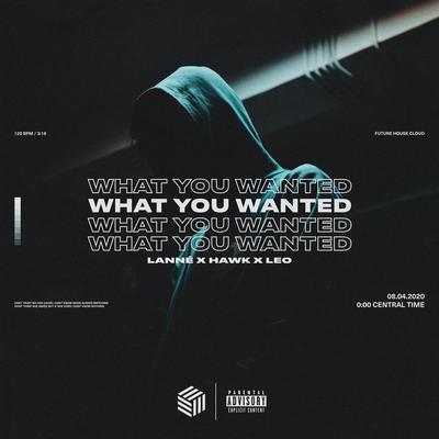 What You Wanted By LANNÉ, LEO, HAWK.'s cover