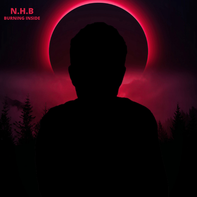 N.H.B's avatar image