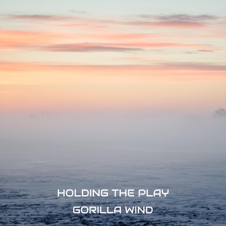 Gorilla Wind's avatar image