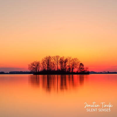 Silent Senses By Jónatan Tinek's cover