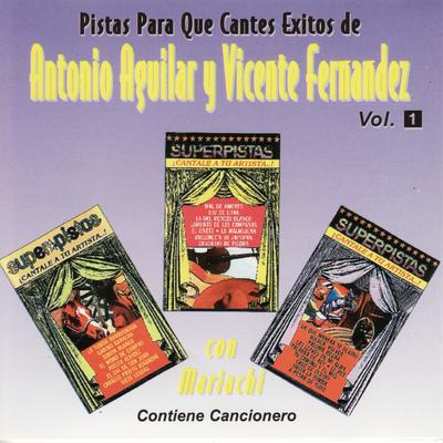 Pistas Para Que Cantes Exitos de Antonio Aguilar y Vicente Fernandez's cover