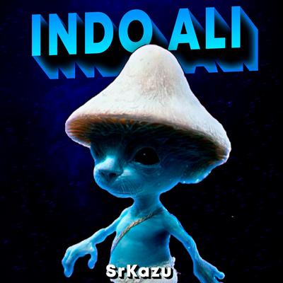 BEAT INDO ALI (Funk Remix) By SrKazu's cover