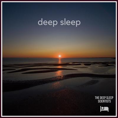 Deep Sleep By The Deep Sleep Scientists's cover