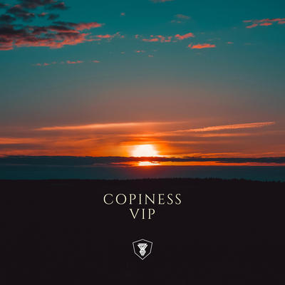 Copines VIP's cover