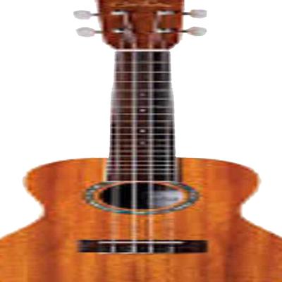 royalty free ukulele type beat's cover