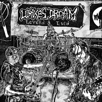 Allemaal Hetzelfde (Live) By Ulrikes Dream's cover