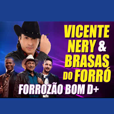 Vanerão Apaixonado By Vicente Nery, Brasas Do Forró's cover
