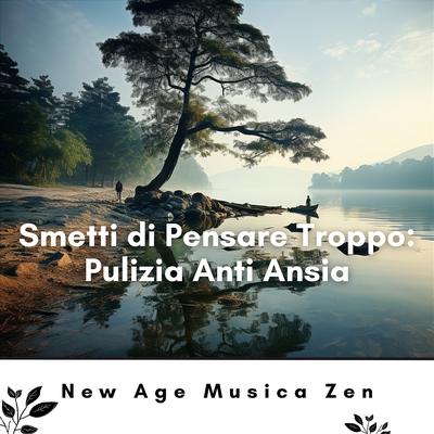 Musica della natura new age's cover