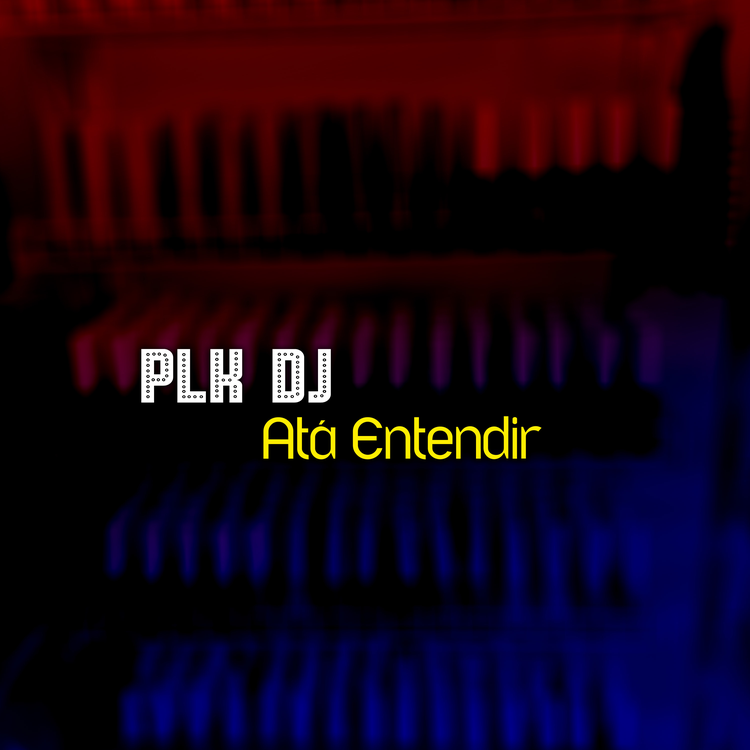 PLK DJ's avatar image