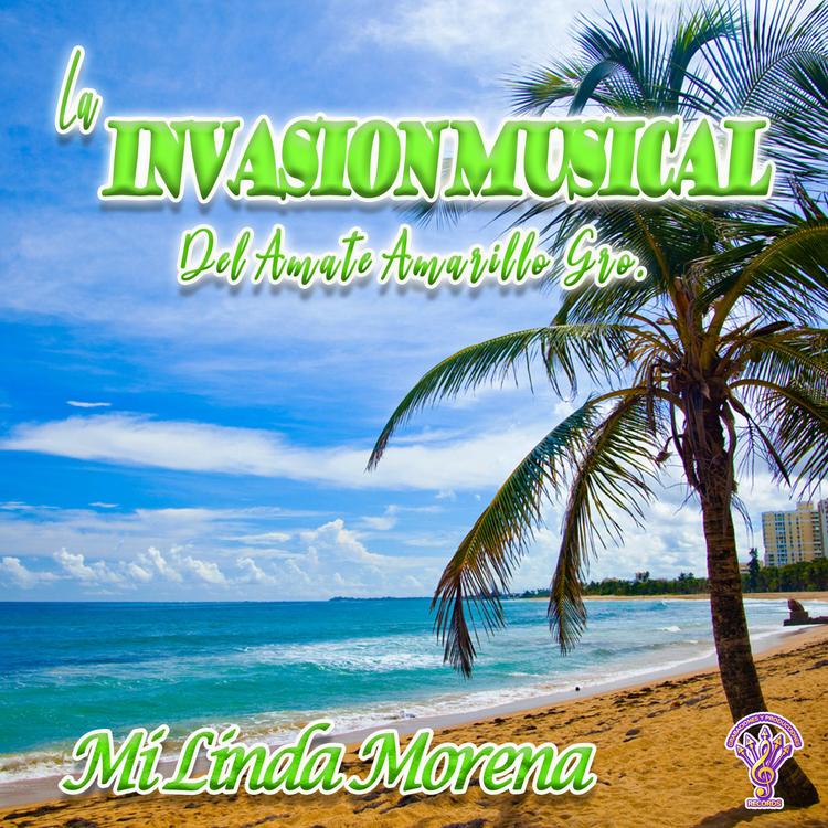 La Invasion Musical Del Amate Amarillo Gro.'s avatar image