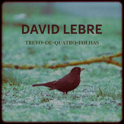 David Lebre's cover