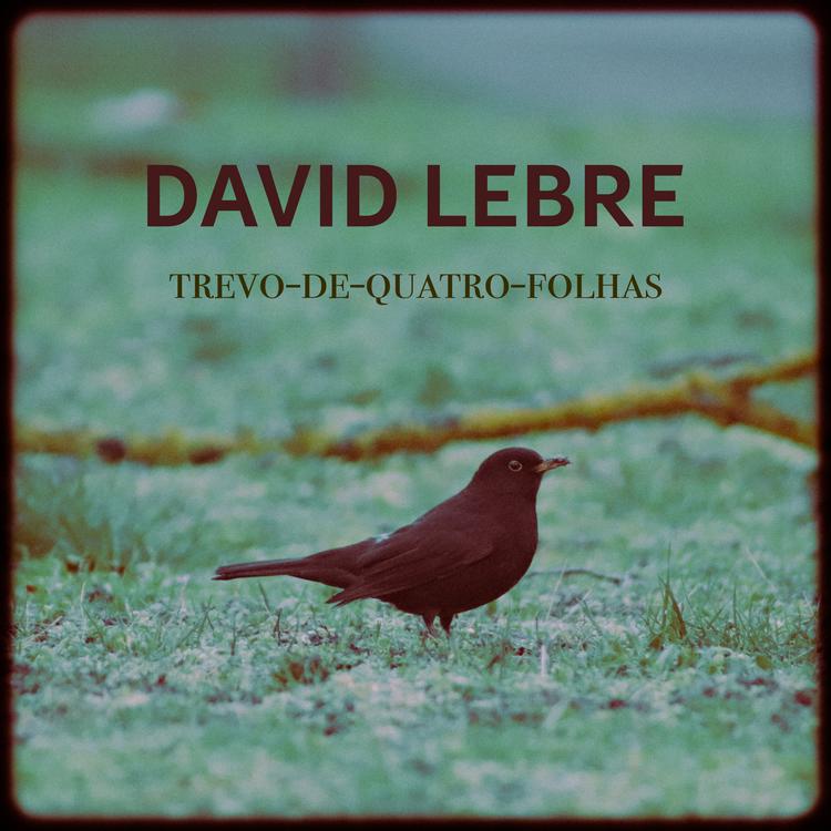 David Lebre's avatar image