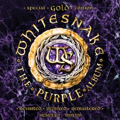 Soldier of Fortune (feat. Joel Hoekstra & The Hook City Strings) By Whitesnake, Joel Hoekstra & The Hook City Strings's cover