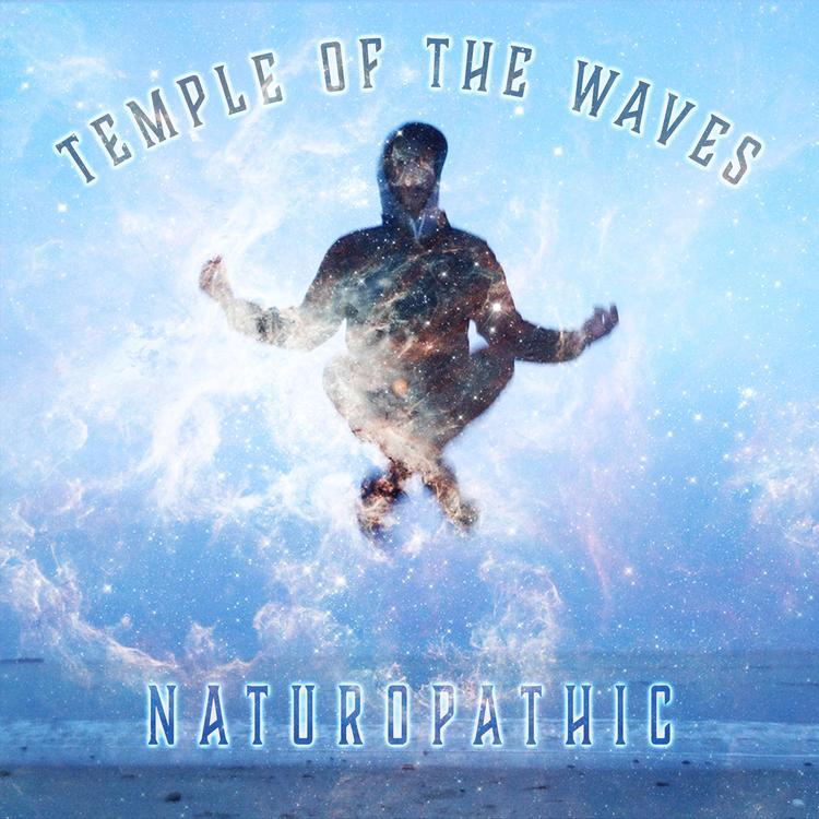 Temple Of The Waves's avatar image