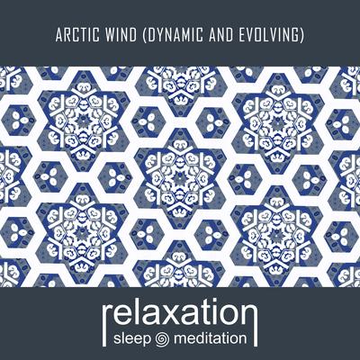 Arctic Wind (Dynamic and Evolving) By Relaxation Sleep Meditation's cover