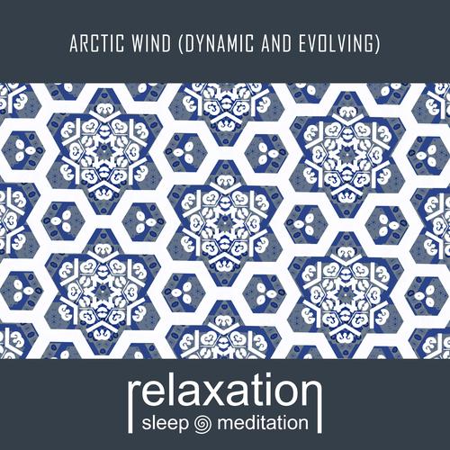 Arctic Wind Sounds's cover