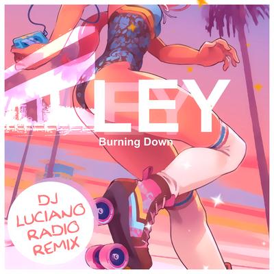 Burning Down (DJ Luciano Radio Remix)'s cover