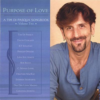 The Best That I Can Do (feat. Stephen Schwartz) By Stephen Schwartz, Tim Di Pasqua's cover