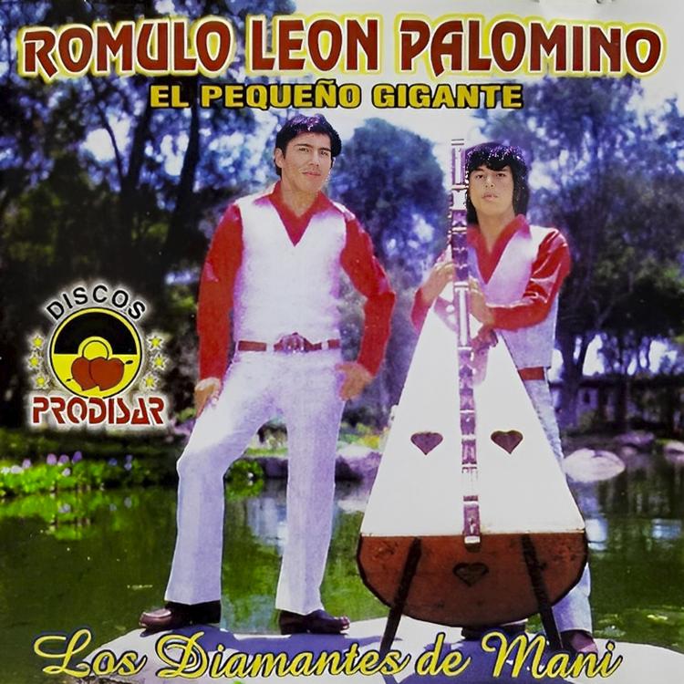 Romulo León Palomino's avatar image